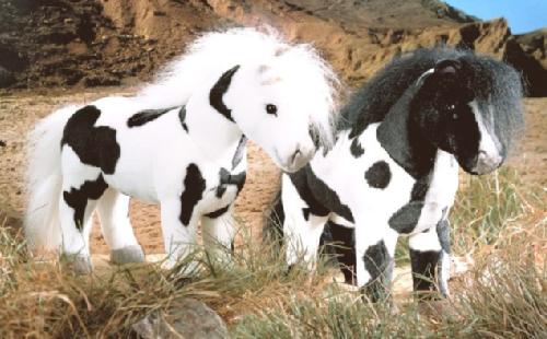 Spotted Horses