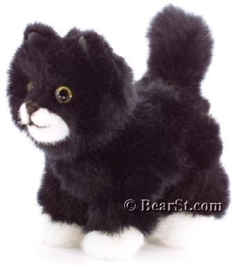 'Mohrchen' Kitten