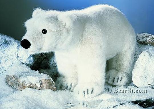 'Olaf' Polar Bear