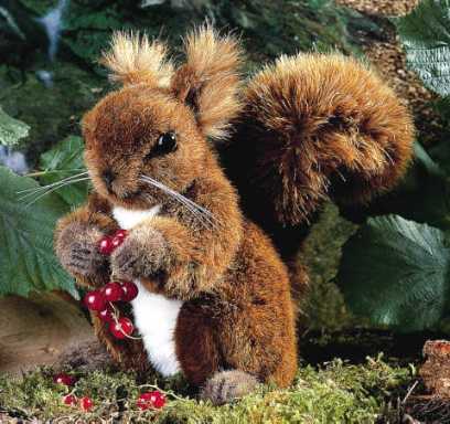 Squirrel