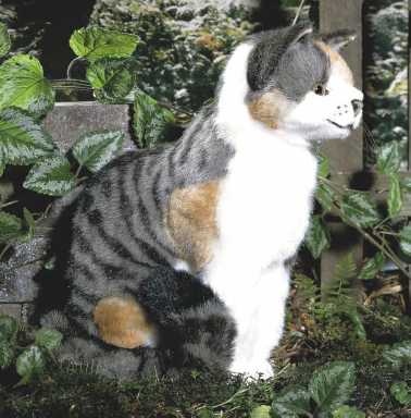'Minka' Cat