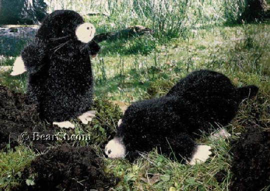 Moles