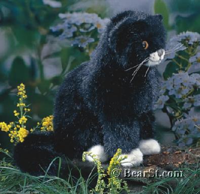 Black Kitten