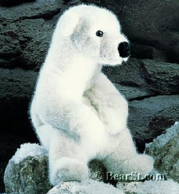 'Linn' Polar Bear Cub