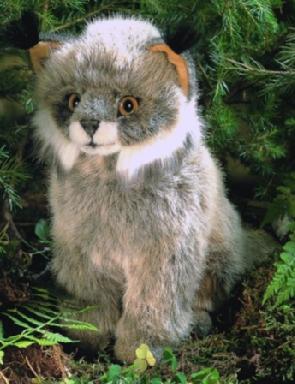 Little Lynx