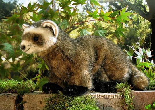 Polecat