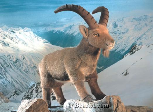 Ibex