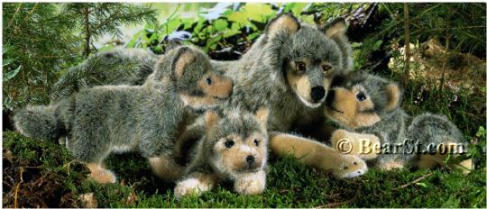 Baby Wolves