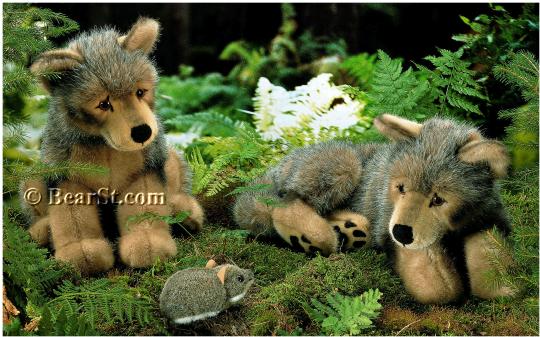 Wolf Cubs