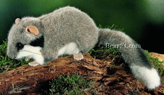 Garden Dormouse