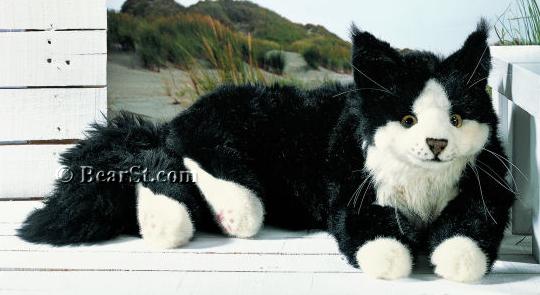 Maine Coon Tomcat