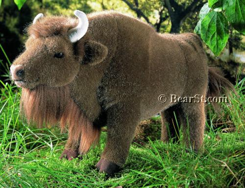 European Bison