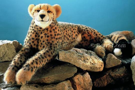 Cheetah