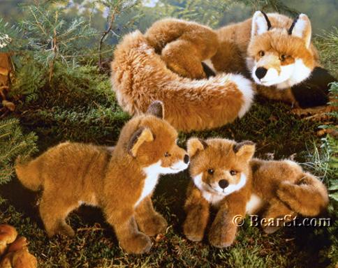 Fox Cubs