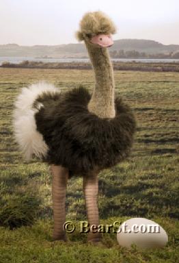 Ostrich