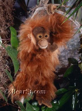 Orang-utan