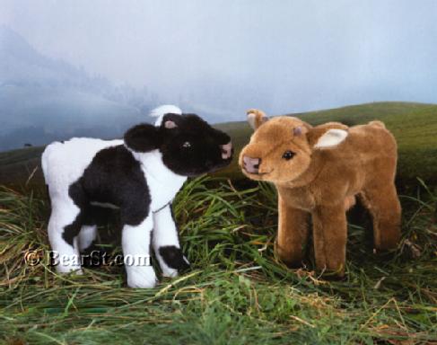 Little Bull Calfs