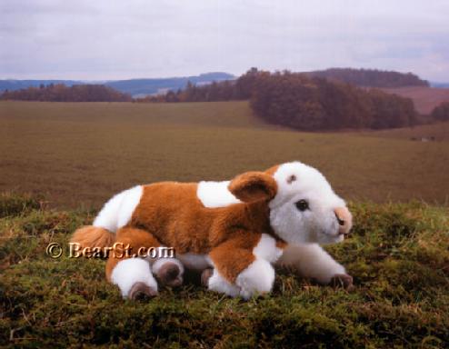Spotted Calf