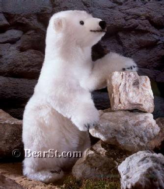 Limited Edition Polar Bear 'Schmuddel'