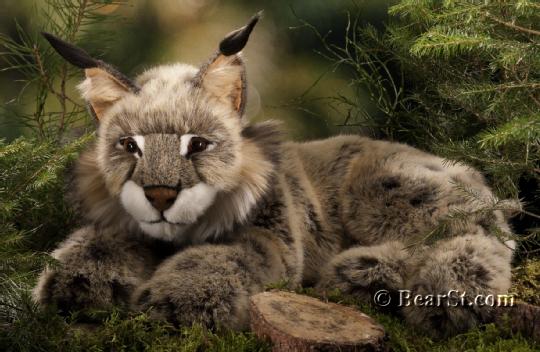 Lynx
