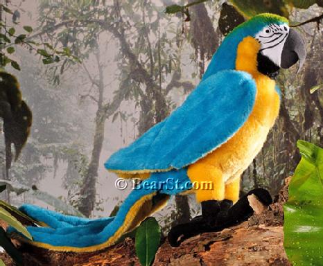 Parrot