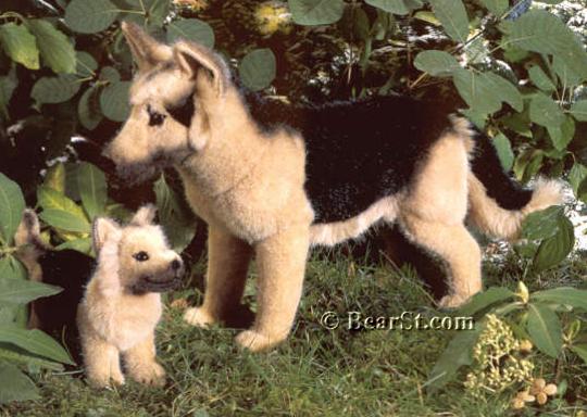 Alsatians