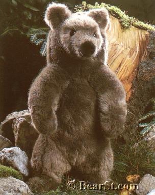 'Benni' Brown Bear