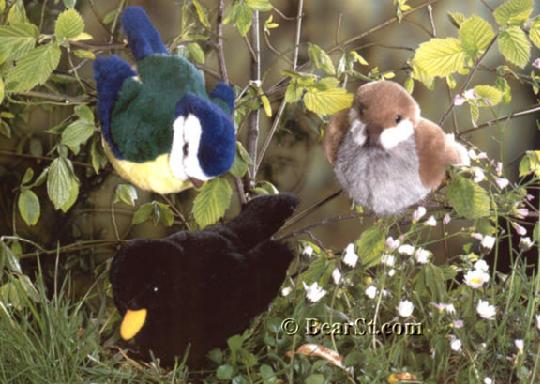 Birds