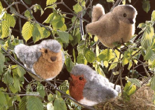 Birds