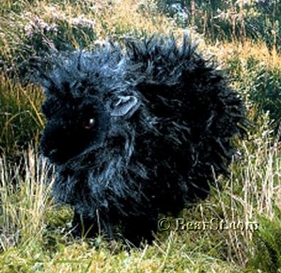 Black Sheep
