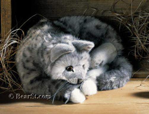 'Charly' Grey Tabby Cat