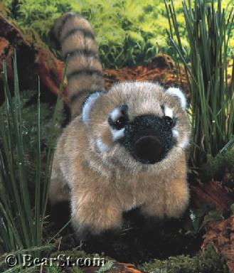'Nasi' Coati