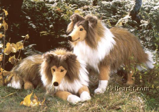 Collies