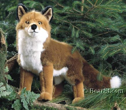 'Felix' Fox