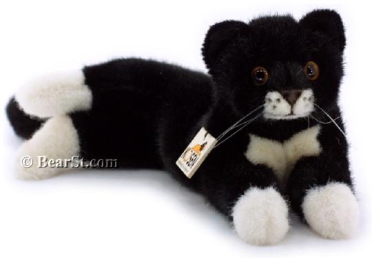 'Fini' Black Kitten