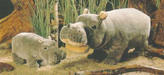 Hippos