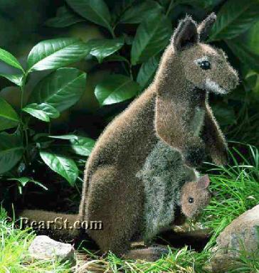 Kangaroo with Joey