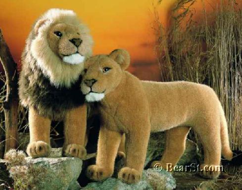 Lions