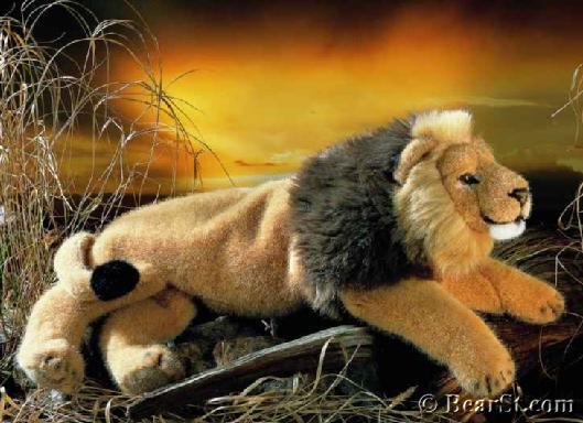 Lying Lion