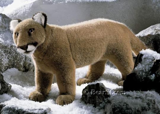 Mountain Lion