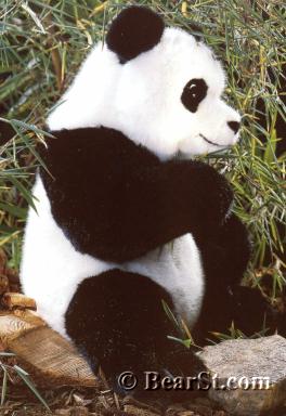 'Shaanxi' Large Panda