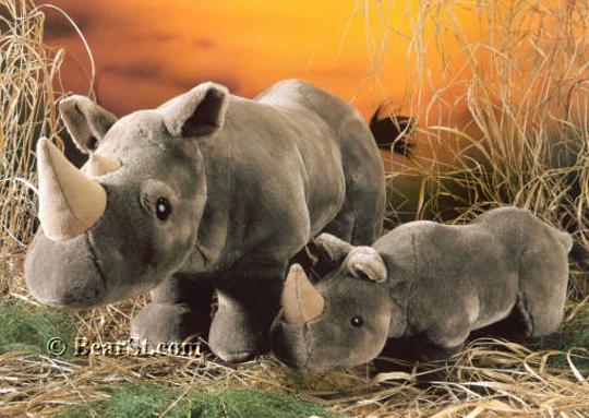 Rhinos