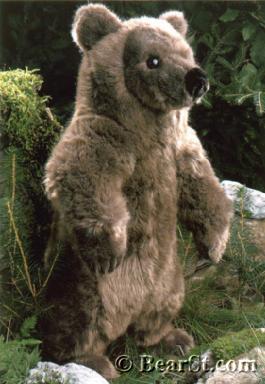 'Schnuffel' Brown Bear