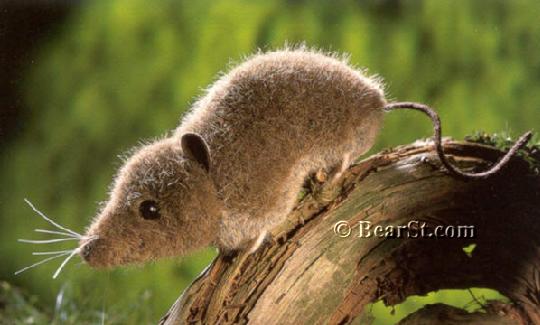 Shrew Mouse