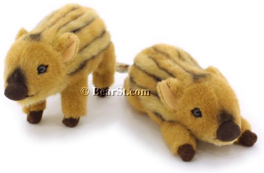 Little Wild Boars