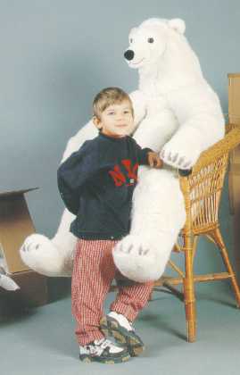 Studio Polar Bear