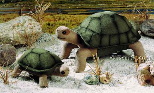 Turtles