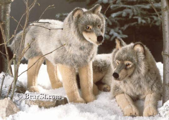 Wolves