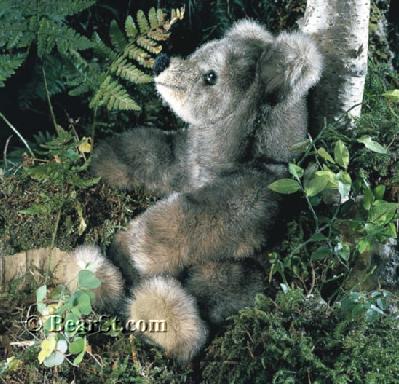 'Wuschel' Brown Bear